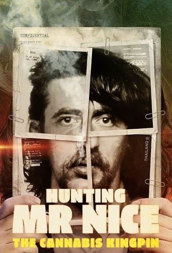 Hunting Mr Nice: The Cannabis Kingpin poster - Find streaming availability
