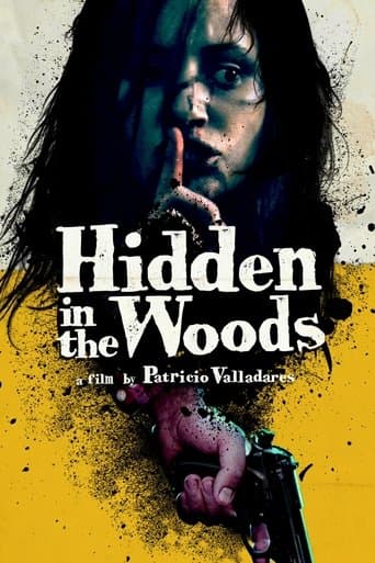 Hidden in the Woods poster - Find streaming availability