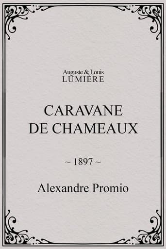 Caravane de chameaux poster - Find streaming availability