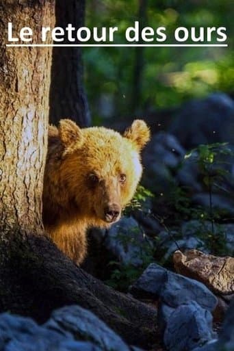 The Return of the Bears poster - Find streaming availability