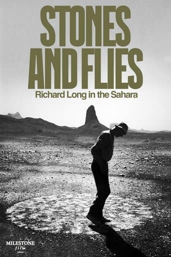Stones and Flies: Richard Long in the Sahara poster - Find streaming availability