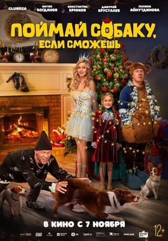 Catch the Dog If You Can poster - Find streaming availability