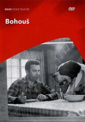 Bohous poster - Find streaming availability