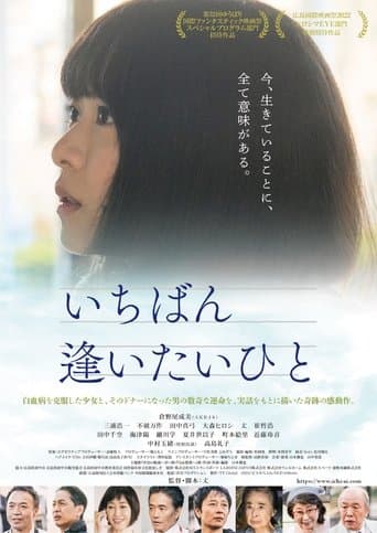 The Person I Want to Meet the Most poster - Find streaming availability