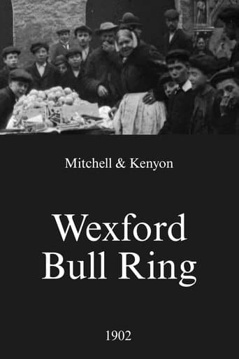 Wexford Bull Ring poster - Find streaming availability