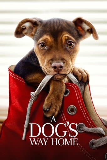 A Dog's Way Home poster - Find streaming availability