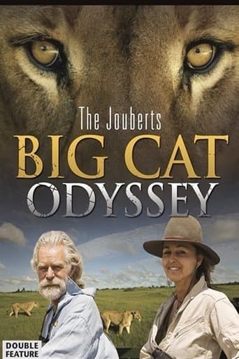 Big Cat Odyssey poster - Find streaming availability