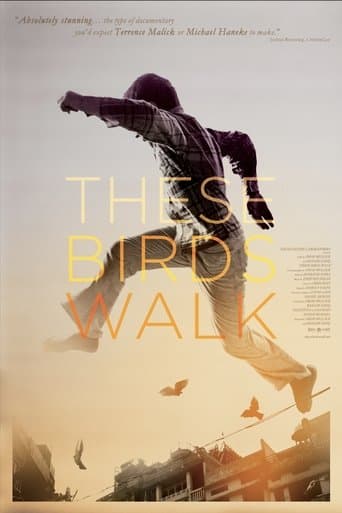 These Birds Walk poster - Find streaming availability