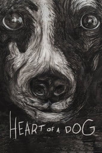 Heart of a Dog poster - Find streaming availability