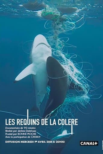 Les Requins de la Colère poster - Find streaming availability