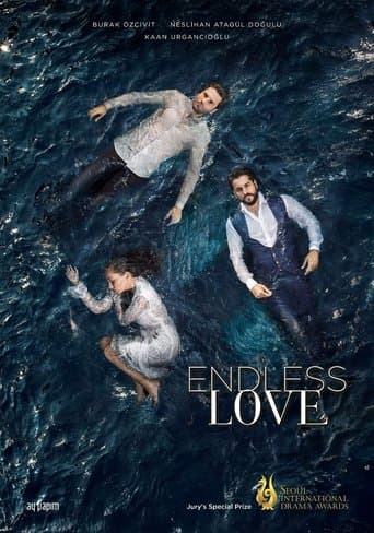 Endless Love poster - Find streaming availability