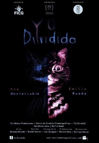 Yo Dividido poster - Find streaming availability