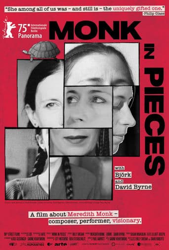 Monk in Pieces poster - Find streaming availability