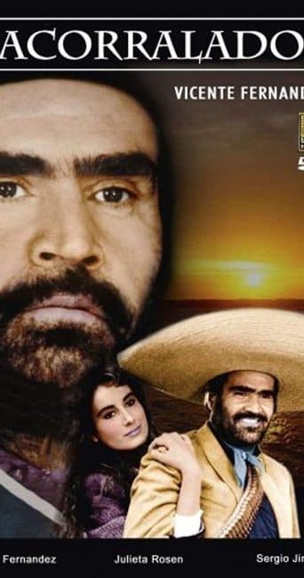 Acorralado poster - Find streaming availability