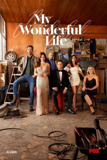 My Wonderful Life poster - Find streaming availability