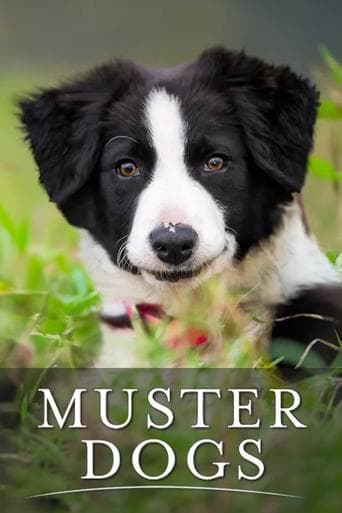 Muster Dogs poster - Find streaming availability