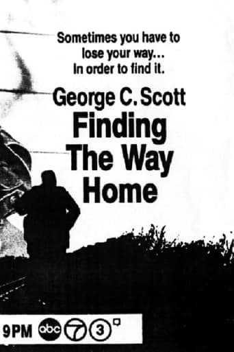 Finding the Way Home poster - Find streaming availability