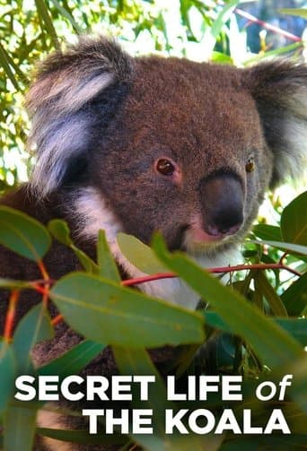 Secret Life of the Koala poster - Find streaming availability