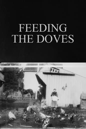 Feeding the Doves poster - Find streaming availability