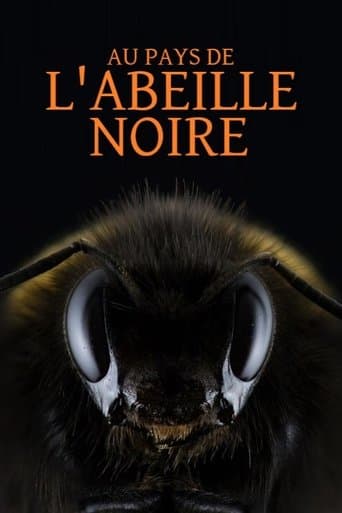 Au pays de l'abeille noire poster - Find streaming availability
