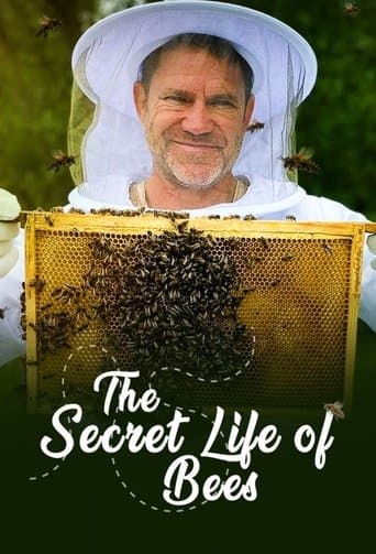 The Secret Life of Bees poster - Find streaming availability