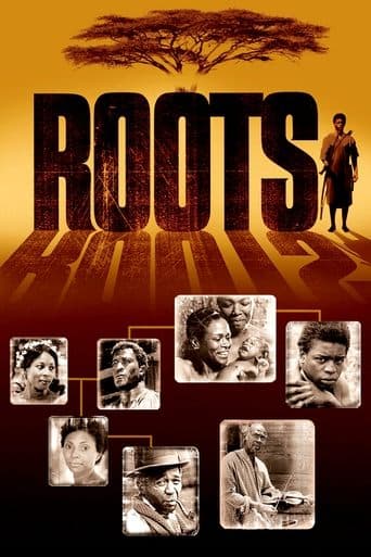 Roots poster - Find streaming availability