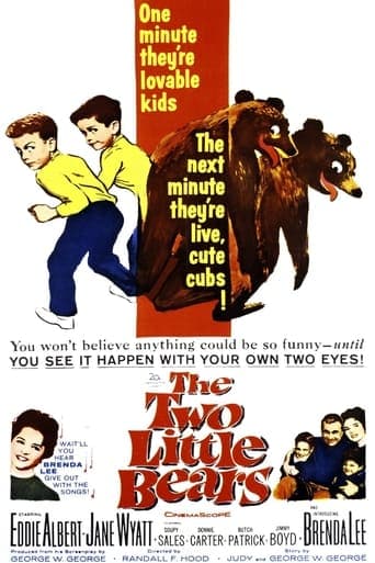 The Two Little Bears poster - Find streaming availability