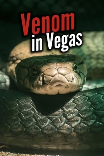 Venom In Vegas poster - Find streaming availability