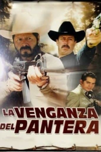 La venganza del pantera poster - Find streaming availability