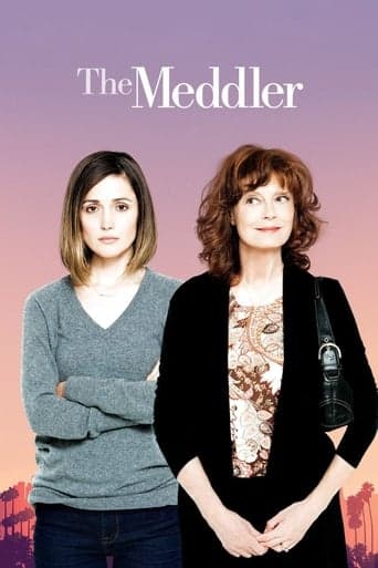 The Meddler poster - Find streaming availability