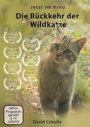 The Return of the Wildcat poster - Find streaming availability