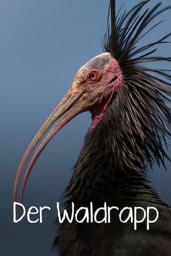 Der Waldrapp: Zugvogel im Aufwind poster - Find streaming availability