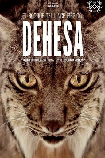 Dehesa: The Forest of the Iberian Lynx poster - Find streaming availability