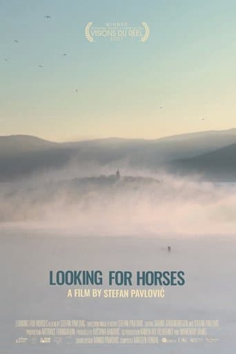 Looking for Horses poster - Find streaming availability