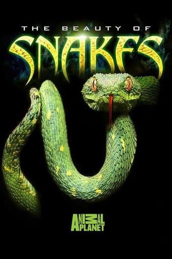 The Beauty of Snakes poster - Find streaming availability