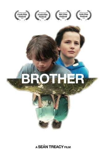 Brother poster - Find streaming availability
