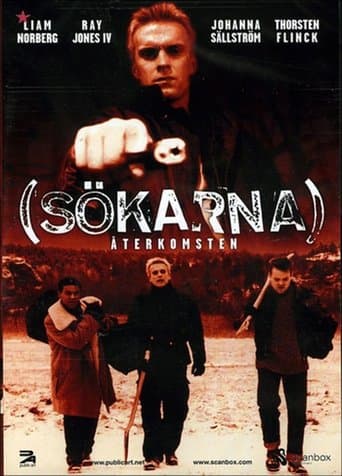 Searchers: The Return poster - Find streaming availability