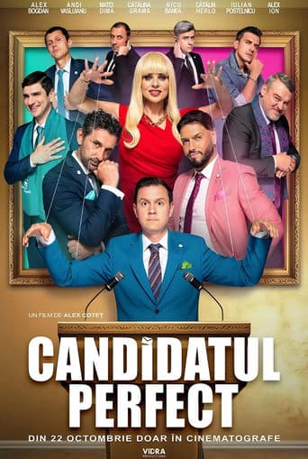 The Perfect Candidate poster - Find streaming availability