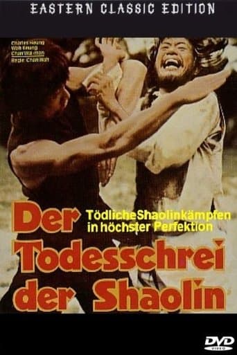 Mysterious Footworks of Kung Fu poster - Find streaming availability