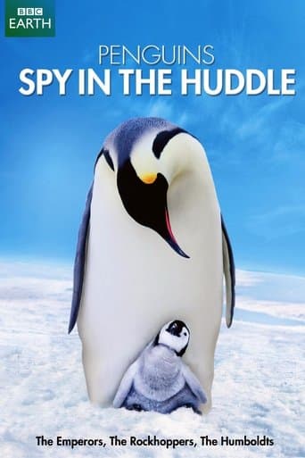 Penguins: Spy in the Huddle poster - Find streaming availability