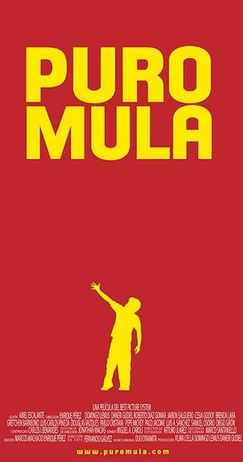 Puro Mula poster - Find streaming availability