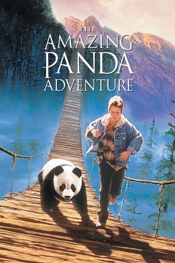 The Amazing Panda Adventure poster - Find streaming availability