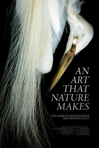 An Art That Nature Makes: The Work of Rosamond Purcell poster - Find streaming availability