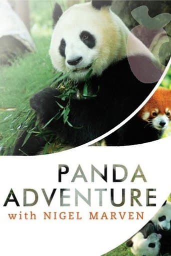 Panda Adventure with Nigel Marven poster - Find streaming availability