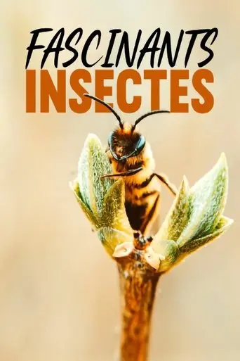 Fascinants insectes poster - Find streaming availability