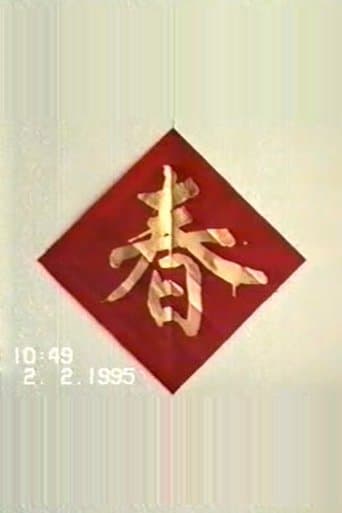 1995年2月2日民间举办迎喜花会 poster - Find streaming availability
