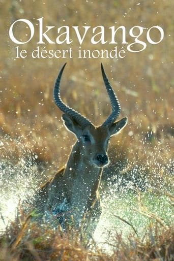 Kalahari: The Flooded Desert poster - Find streaming availability