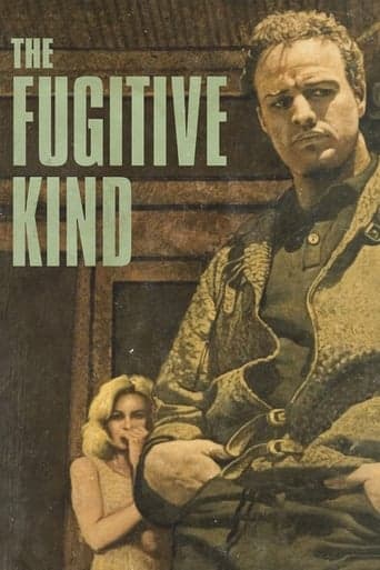 The Fugitive Kind poster - Find streaming availability