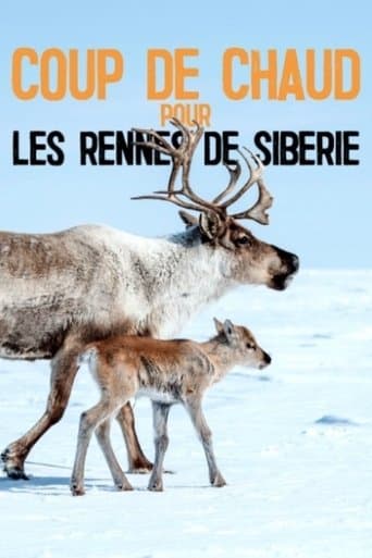 Heatstroke for the Siberian Reindeer poster - Find streaming availability