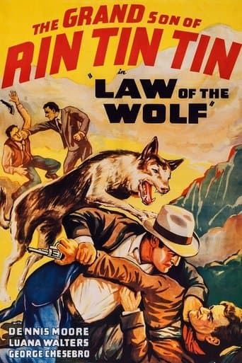 Law of the Wolf poster - Find streaming availability